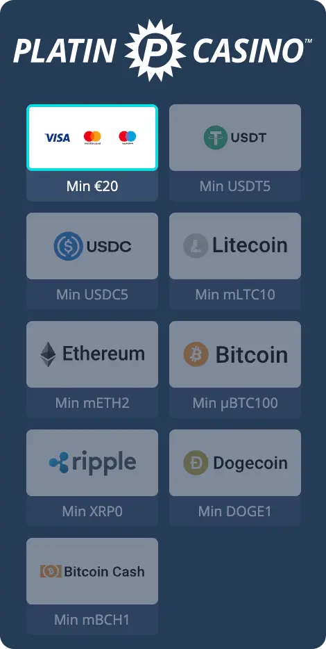 platin casino payment methods